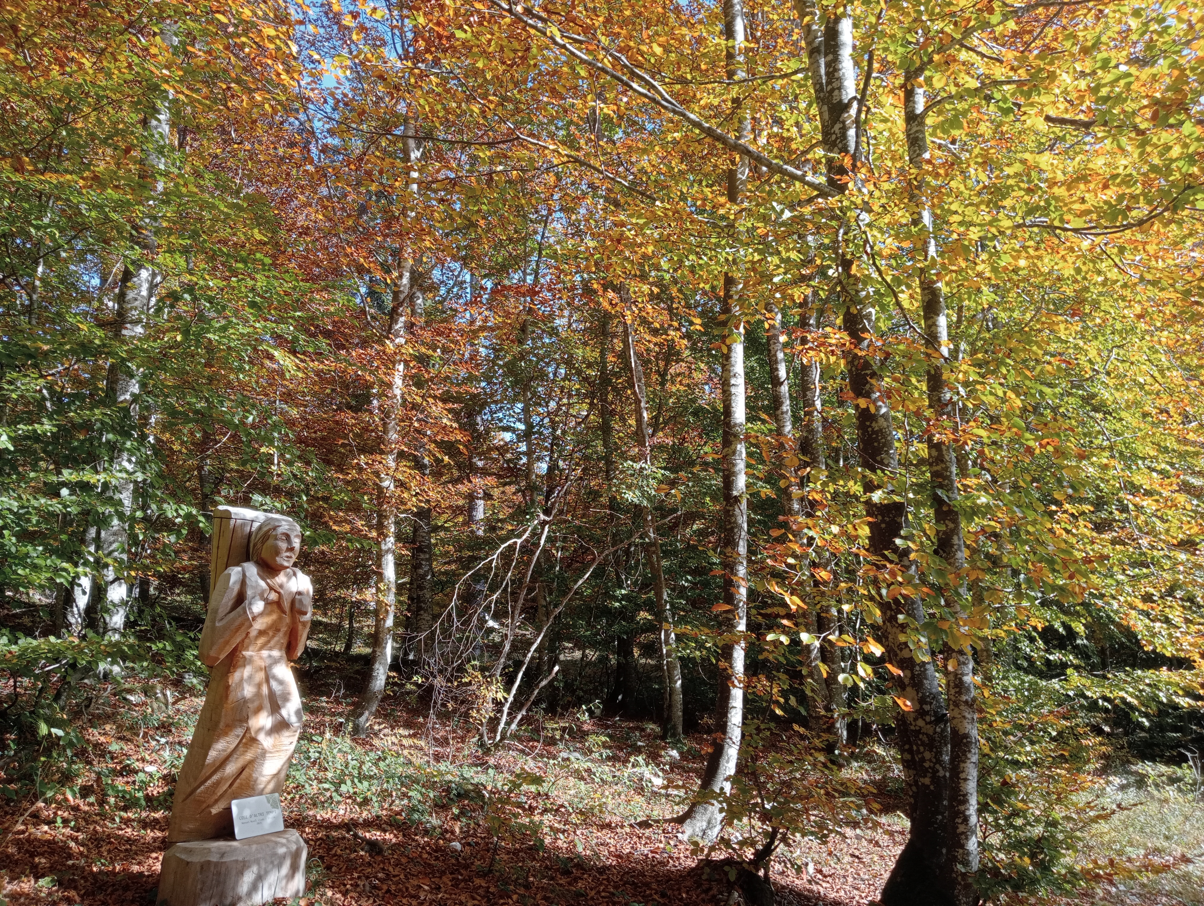 Immagine-18-foliage-02